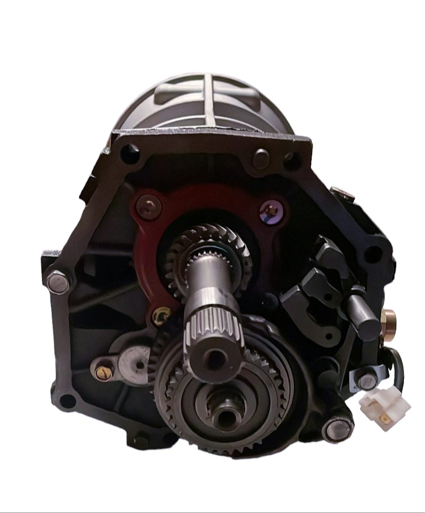 Caja de velocidades 4X4 22R