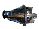 Catarina 10x41