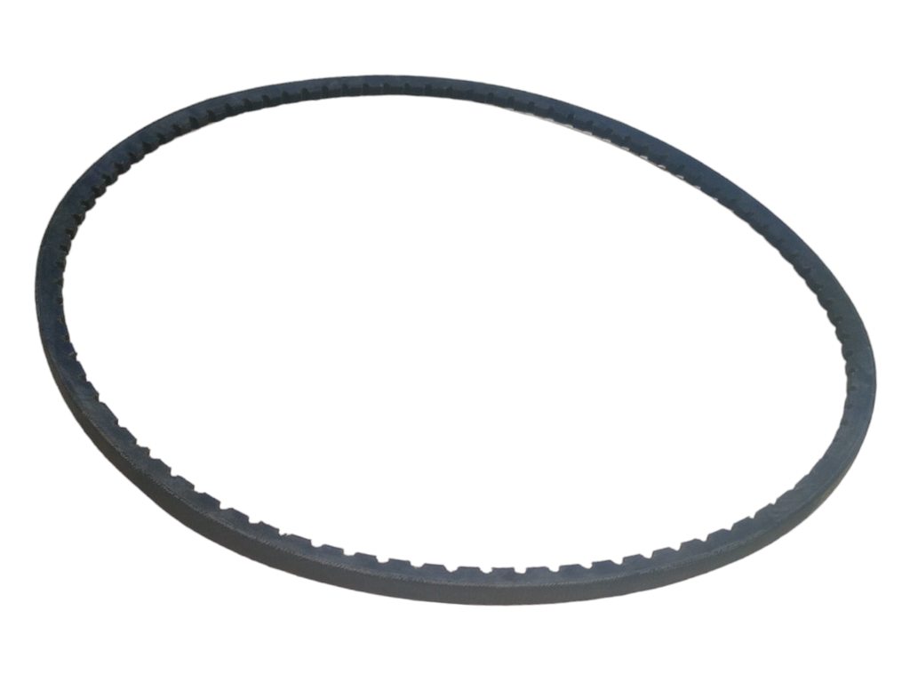 Faja dentada 