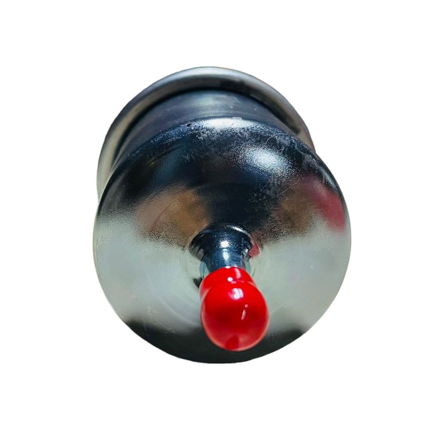 Filtro de gasolina