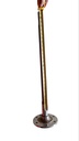 Flecha corta hi ace 2kd