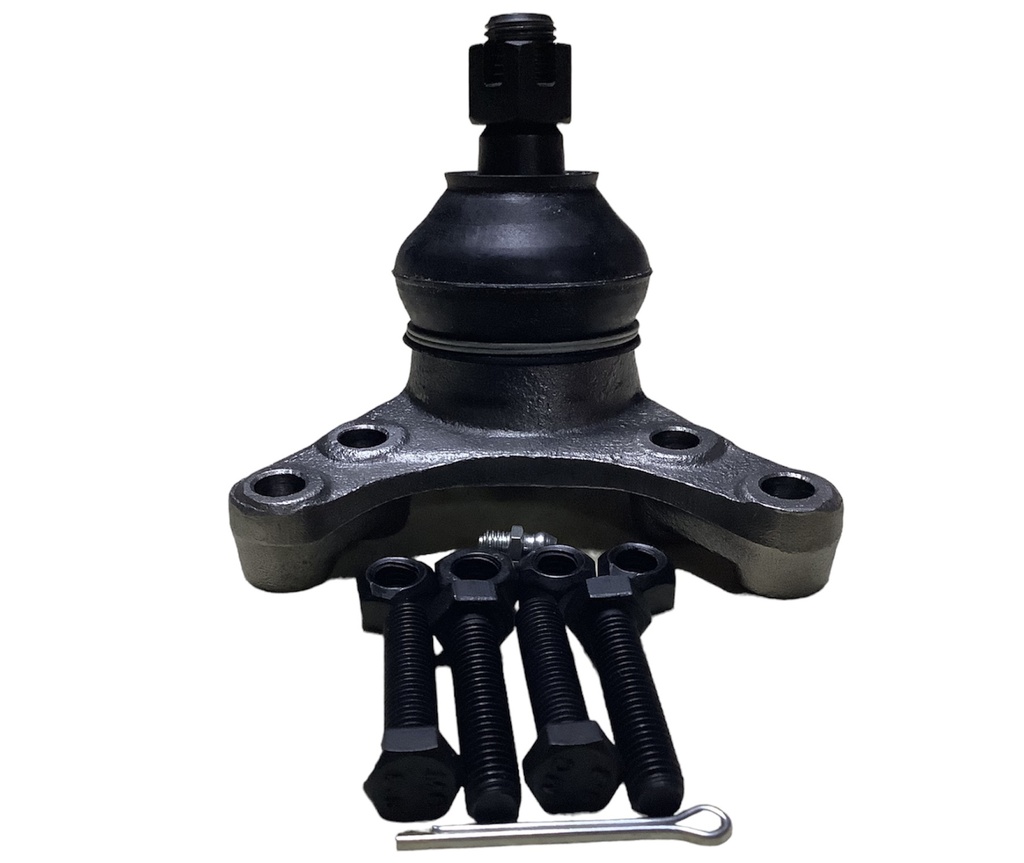 Rotula superior RH 2WD TACOMA 95/04