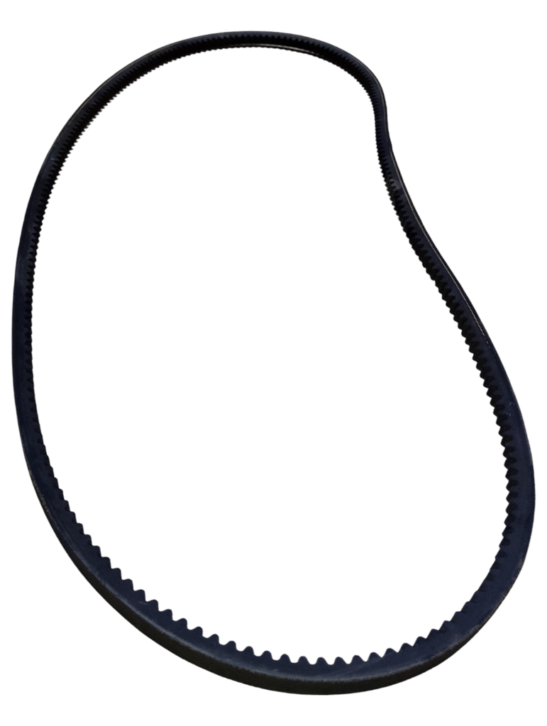 Faja dentada