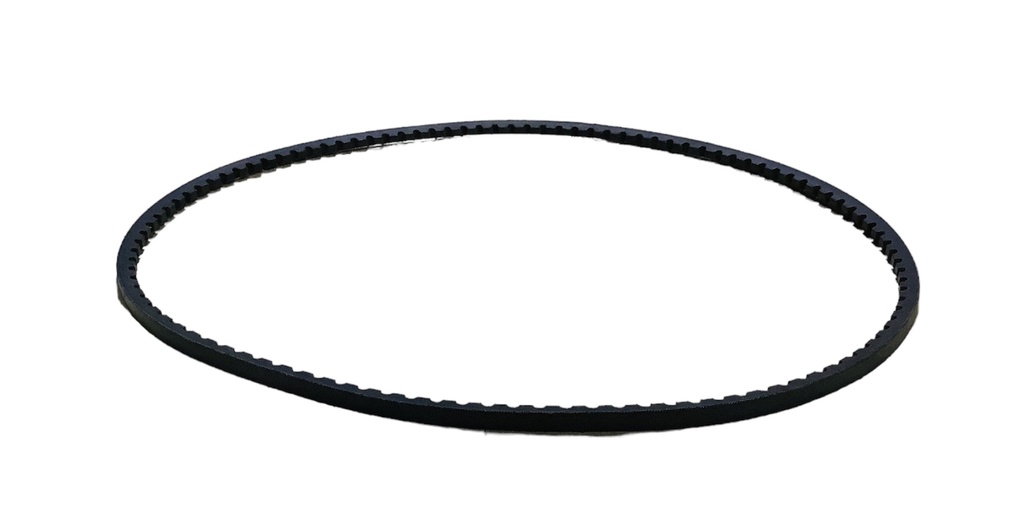 Faja dentada