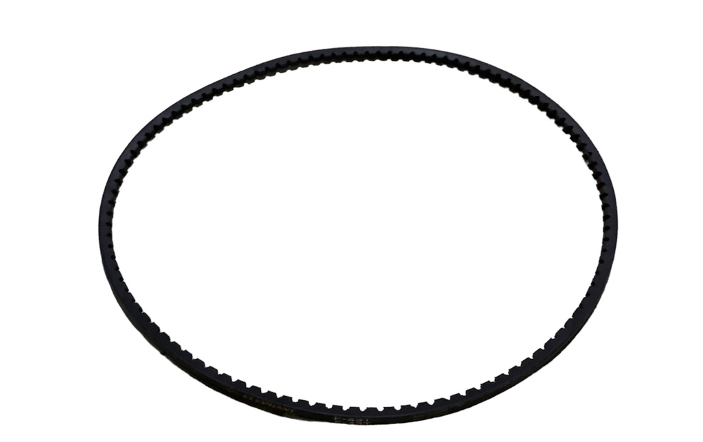 Faja dentada