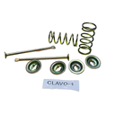 Clavo de friccion